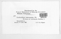 Image Associated With the Occurence